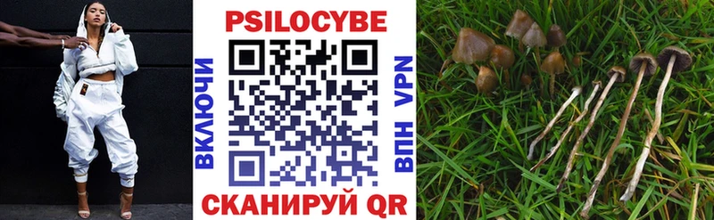 Псилоцибиновые грибы Psilocybine cubensis  Купить закладки  Лермонтов 